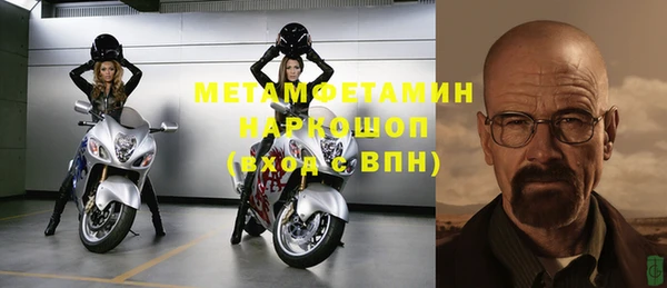 индика Медвежьегорск