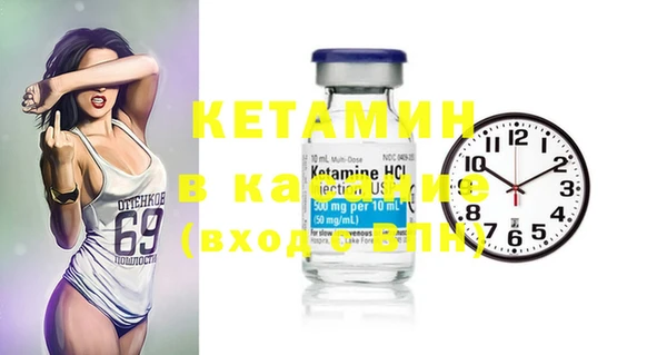 индика Медвежьегорск