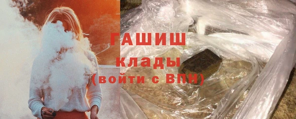 индика Медвежьегорск