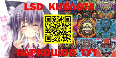 прущие грибы Коммунар