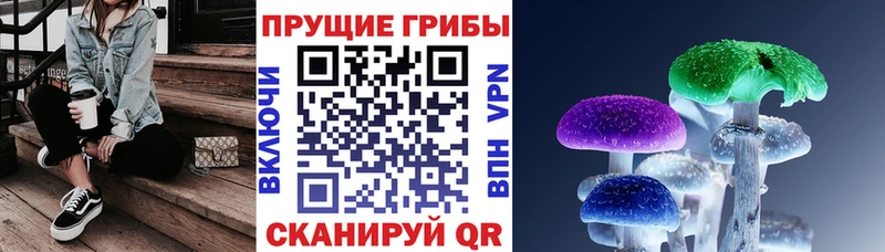 магазин наркотиков Псков MEGA зеркало Псилоцибиновые грибы Cubensis