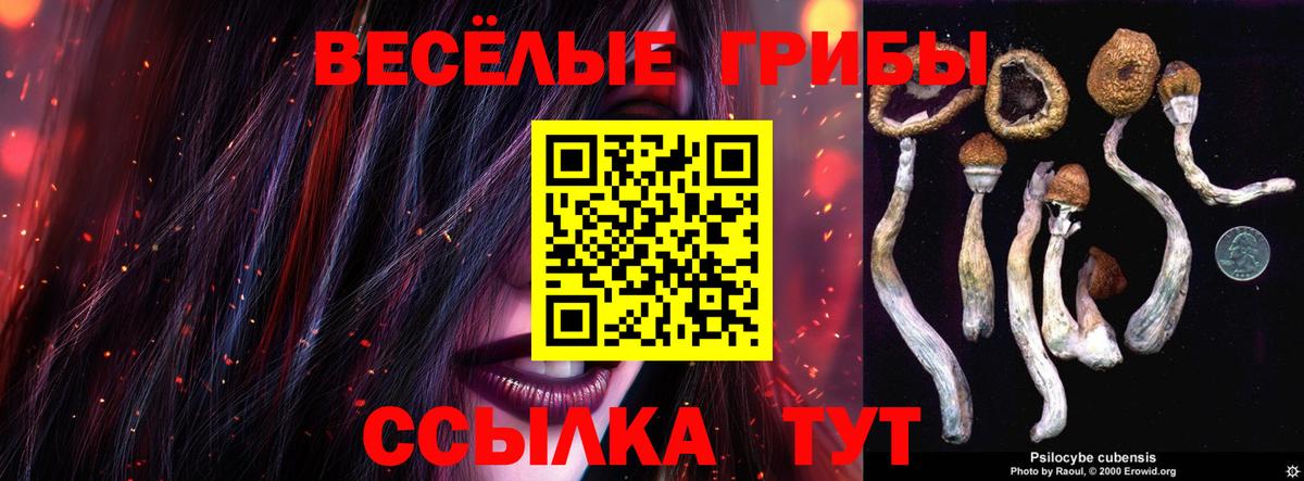 Галлюциногенные грибы Magic Shrooms Псков